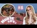 🔴UMA VIAGEM INESPERADA & UM MUSTANG MAGNIFICO #8 - horse life 2