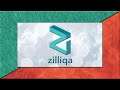 What is Zilliqa (ZIL) - Explained