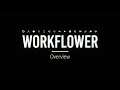 Workflower for After Effects Tutorial 1: Overview