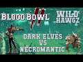Blood Bowl 2 - Dark Elves (the Sage) vs Necromantic (BlackIron) - WH G10