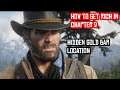 How To Get Rich In Chapter 2 - RDR2