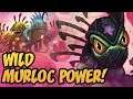 Wild Murloc Power! | Saviors of Uldum | Hearthstone