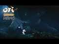 Ori and the Blind Forest - Demo - Nintendo Switch