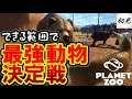 【Planet Zoo】実況 番外編 動物同士を戦わせたらあの猛獣が最強すぎた