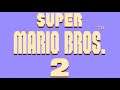 Player Select - Super Mario Bros. 2