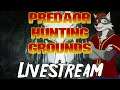 Predator Hunting Grounds Livestream