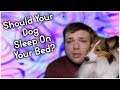 Should Your Dog Sleep On Your Bed? Reasons and Facts Examined | MumblesVideos Pupdate #47