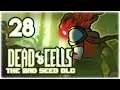 ABSOLUTELY BUSTED COMBO! [4BC] | Let's Play Dead Cells: Bad Seed DLC | Part 28 | Update Gameplay