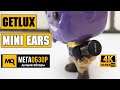GetLux Mini Ears обзор наушников