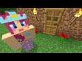 HAVEN Ep.1 Home Sweet Home! | Minecraft Lets Play