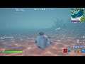 how to walk underwater ๐๐ถ