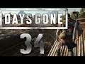 Lets Play Days Gone - Part 34 - Auf der Suche nach Abigail und Gabbi