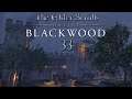 Let's Play ESO - Blackwood [Blind] [Deutsch] Part 33 - Mein Name ist Teldundindo