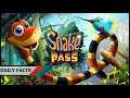 A Small Mistake Lead to a Small Team - Daily Facts - Snake Pass