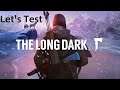 Let's Test - The Long Dark [LP]: Überleben ist schwer