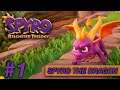 Spyro The Dragon [Reignited Trilogy] Part 1- Reignited