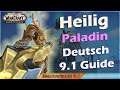 WoW Shadowlands 9.1 Heilig Paladin Guide deutsch | Alles zum Holy Pala in 9.1 M+
