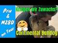 Continental Bulldog "Daytona" Toni Pru & MZ80 on Tour! Neues Familienmitglied???