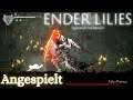 Ender Lilies ( Quietus of the Knights ) || Angespielt