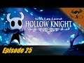 Hollow Knight - 25 - Je fais chauffer les Geos