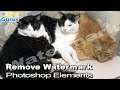 How You Can Use Adobe Photoshop Elements to Remove a Watermark from a Photo