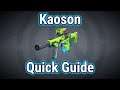 Kaoson | Quick Guide | Borderlands 3