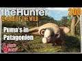 The Hunter Call of the Wild ★ Zimtenten waren geplant ...und es kam der Puma in Patagonien | Deutsch