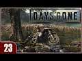 Days Gone - EP23