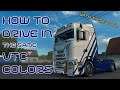 [ETS2] How to drive in the same VTC colors?