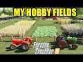 Farming Simulator 19 : Building My Hobby Fields With Mini Tractors !!!
