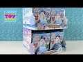 Littlest Pet Shop Frosted Flurries Full Case Unboxing Review LPS | PSToyReviews