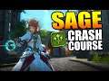 Sage crash course!! (Intro guide so you look cool in dungeons :P)
