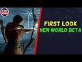 First Look: New World Beta