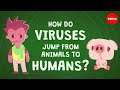 How do viruses jump from animals to humans? - Ben Longdon