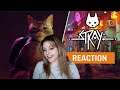 My reaction to the Stray Official Gameplay and Release Window Trailer | GAMEDAME REACTS