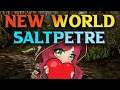 New World Saltpeter Locations - Where To Find Saltpeter In New World