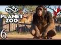 🔴 PLANET ZOO | 4 Animales nuevos #06 Gameplay español