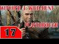 The Witcher 3: The Wild Hunt - Blood and Bones Playthrough Part 17 - Terahdra Twitch