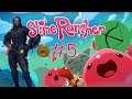 Welcome to the Moss Blanket! | Slime Rancher #5