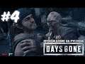 #4 - Days Gone - Жизнь После - на русском [2K, PC]   #daysgone #жизньпосле #daysgonepc