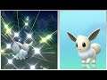 LIVE! Shiny Eevee after 4,022 SR's in Brilliant Diamond! (FULL ODDS)