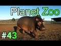 実況 動物観察の刑に処す！「Planet Zoo」#43