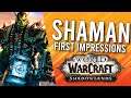 Shamans In Shadowlands Alpha! First Impression - WoW: Shadowlands Alpha