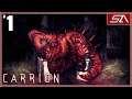 StaticArbiter plays Carrion [PC] - Episode 1