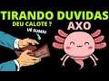 😨Axo não pagou? |dinheiro da carteira sumiu💲 | venha tirar suas duvidas