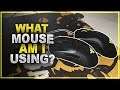 What mouse am I using for CS:GO? (Comfort vs Control)