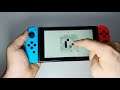 ZHED Nintendo Switch handheld gameplay