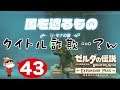 #43【Switch】ゼルダの伝説BoW ~え?タイトル詐欺…?~