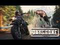Even the Wolves are Meaner Now - Days Gone PC