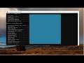 How to Check Your DNS Server Address on Windows 11 [Tutorial]